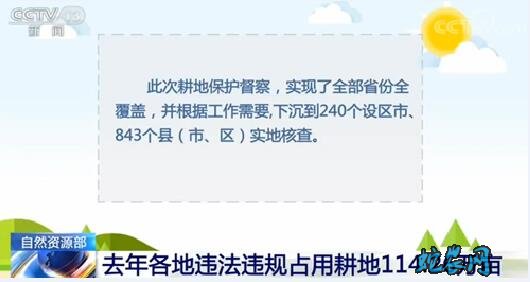 2019年全国各地违法违规占用耕地114.26万亩！永久基本农田14.34万亩！