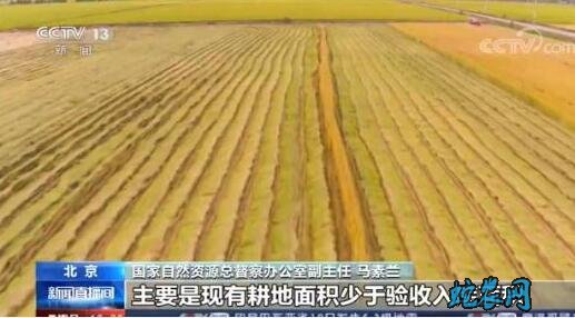 2019年全国各地违法违规占用耕地114.26万亩!永久基本农田14.34万亩!