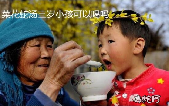 菜花蛇煲汤三岁的小孩可以喝吗？