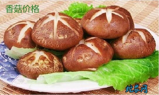 2020年1月22日香菇价格行情、今日香菇多少钱一斤?