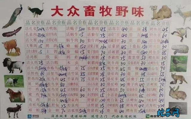 武汉市场野味菜单！这些野生动物农民朋友不要捕捉了！