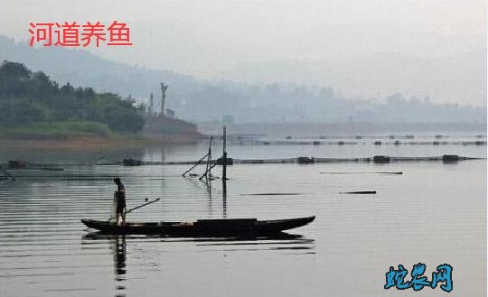 河道养鱼、如何拦截小河道养鱼?