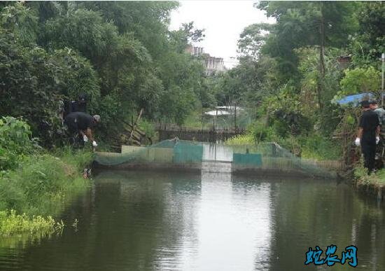 河道养鱼、如何拦截小河道养鱼?