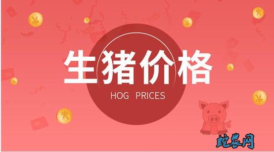 2020年1月23日猪价格行情