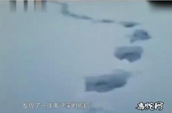 大脚怪是否存在?西伯利亚两小男孩发现巨大脚印
