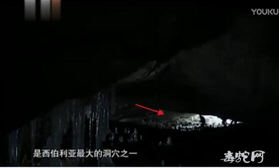 大脚怪是否存在?西伯利亚两小男孩发现巨大脚印