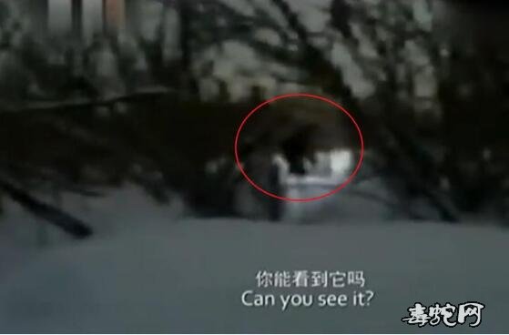 大脚怪是否存在?西伯利亚两小男孩发现巨大脚印