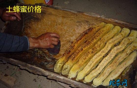土蜂蜜价格、2020年土蜂蜜多少一斤?