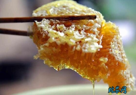 土蜂蜜价格、2020年土蜂蜜多少一斤?