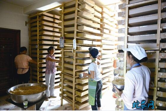 养黄粉虫、养黄粉虫的成本与利润怎么样?