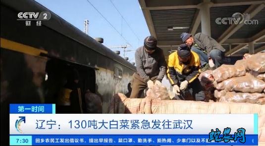 辽宁:130吨大白菜紧急发往武汉