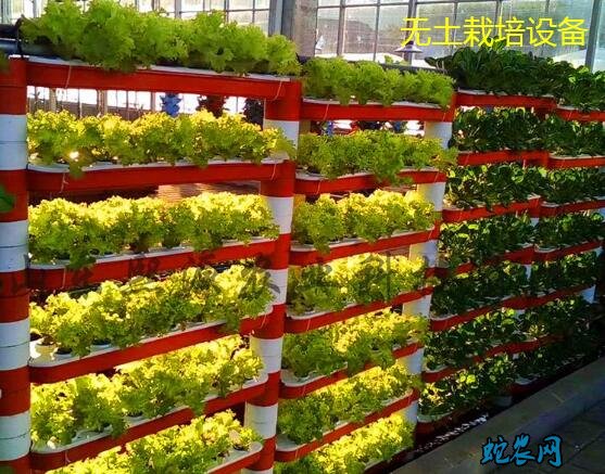 水培蔬菜种植设备有哪些?设备价格需要多少钱?
