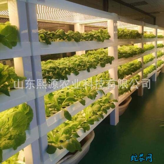 水培蔬菜种植设备有哪些?设备价格需要多少钱?