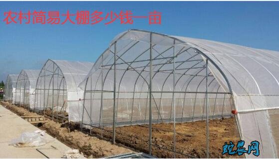 蔬菜大棚、2020年农村简易蔬菜大棚造价多少钱一亩?