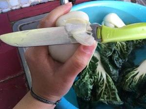 白菜干怎么做?白菜干的吃法大全