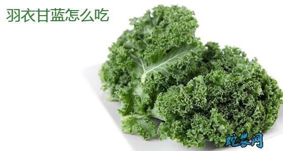 羽衣甘蓝怎么吃最好?都有什么功效与作用?