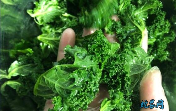 羽衣甘蓝怎么吃最好?都有什么功效与作用?