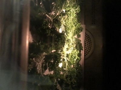 羽衣甘蓝怎么吃最好?都有什么功效与作用?