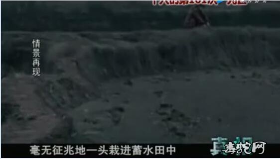 “死不了的人”!男子死亡101次都能再次复活!科学家不淡定了!
