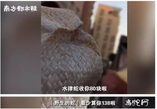 广州市场：有人偷卖竹鼠、蛇等野生动物被查封！