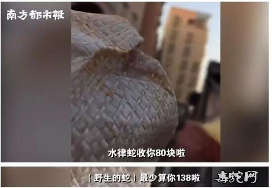 广州市场:有人偷卖竹鼠、蛇等野生动物被查封!