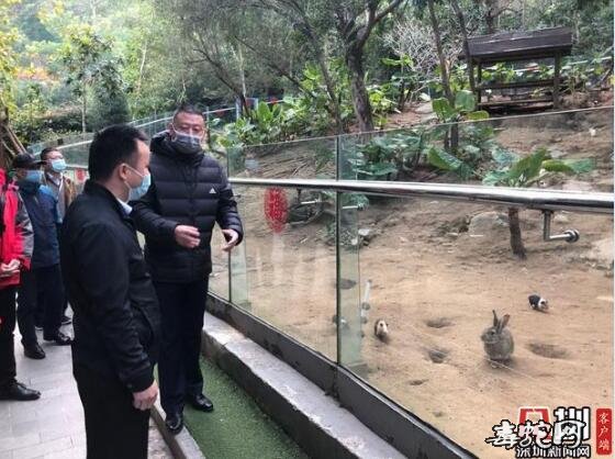 深圳查获辉记海鲜酒楼无证经营榕蛇37斤!疫情当前需无条件配合市场管理!