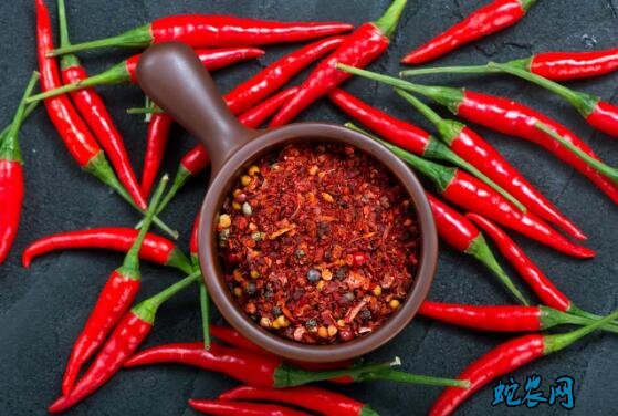中国辣椒网、了解辣椒种植技术、价格行情从这里开始?