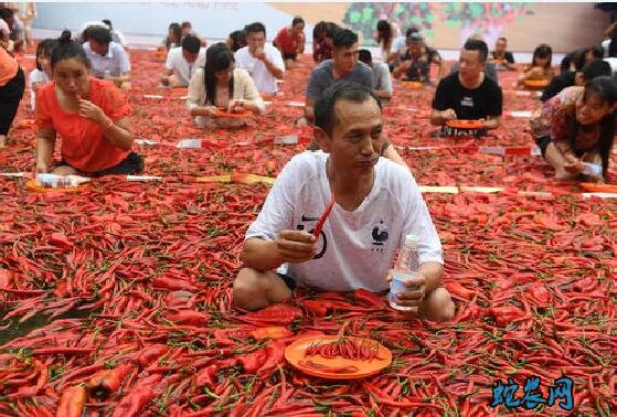 中国辣椒网、了解辣椒种植技术、价格行情从这里开始?