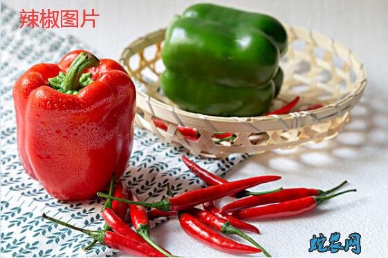 各种辣椒图片大全欣赏
