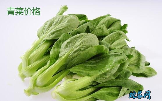 青菜价格、2020年2月5日青菜价格行情表!