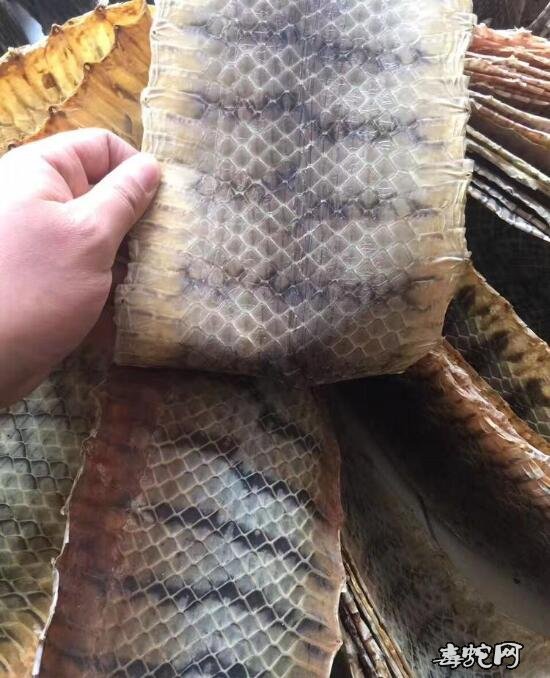 京胡蛇皮价格?多少钱一张?