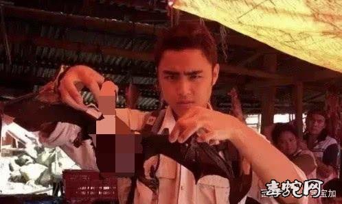 综艺节目:明道吃蝙蝠、谢霆锋吃蜘蛛、贾乃亮吃蛇!