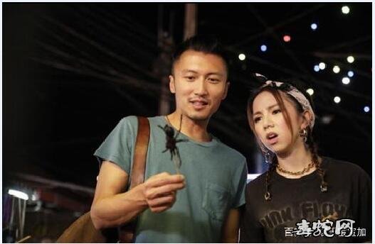 综艺节目:明道吃蝙蝠、谢霆锋吃蜘蛛、贾乃亮吃蛇!