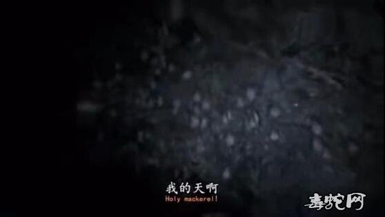 野外求生贝爷告诫过观众蝙蝠危险!粪便孢子会导致肺部致命!