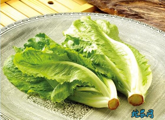 各种生菜图片大全欣赏
