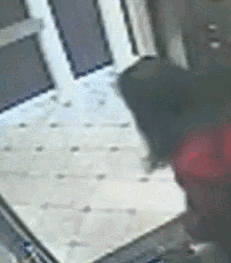 蓝可儿死亡事件!