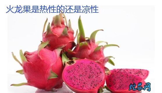火龙果是热性还是凉性?什么体质不能吃?