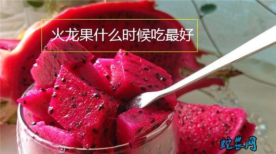 火龙果什么时候吃最好?吃火龙果必备知识!