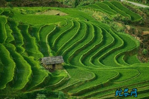 国务院办公厅关于加强农业种质资源保护与利用的意见!
