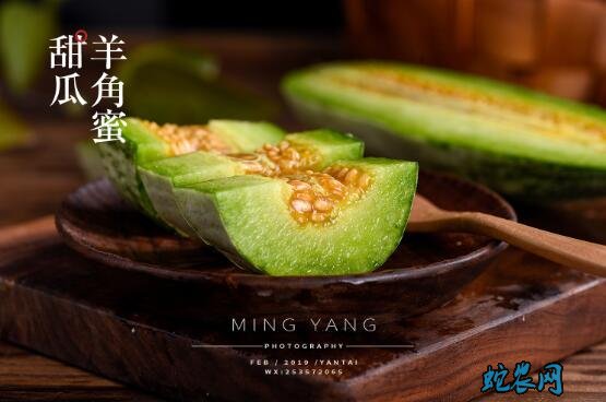 甜瓜种子、甜瓜哪个品种最好吃?