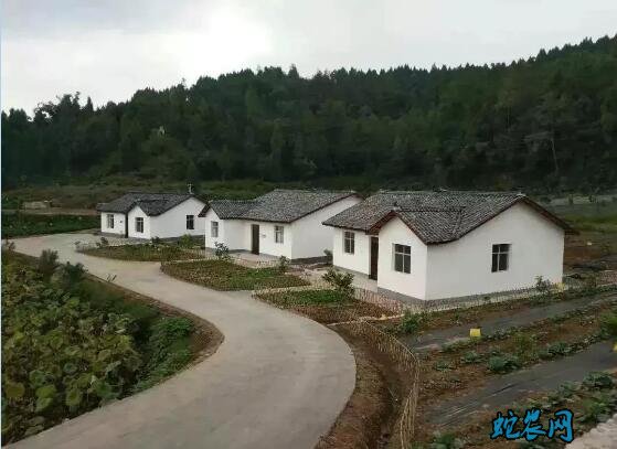 关于农业农村部关于新型冠状病毒肺炎疫情期间优化审批服务的通告