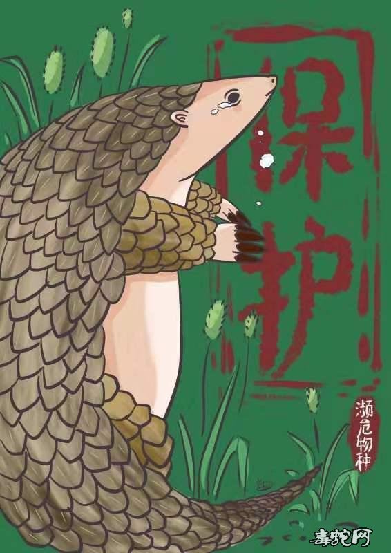 中国日报网评:保护野生动物,亦是保护人类自己!