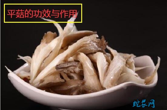 平菇的功效、吃平菇对身体有什么功效与作用?