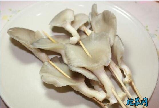 平菇的功效、吃平菇对身体有什么功效与作用?