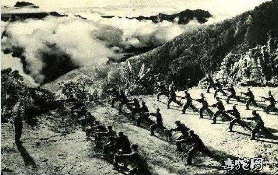 网传鼠年不吉利?盘点近120年来鼠年发生的大事件!