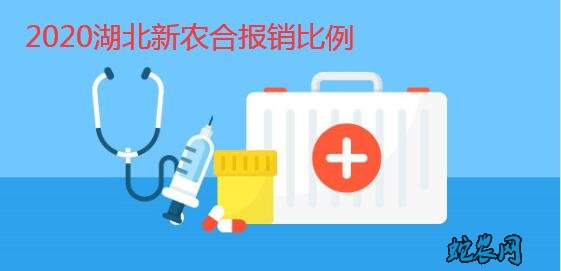 2020年湖北农村合作医疗报销比例范围?