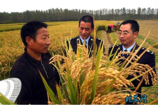 农村补贴政策、看看2020年农村出台了哪些补贴政策?