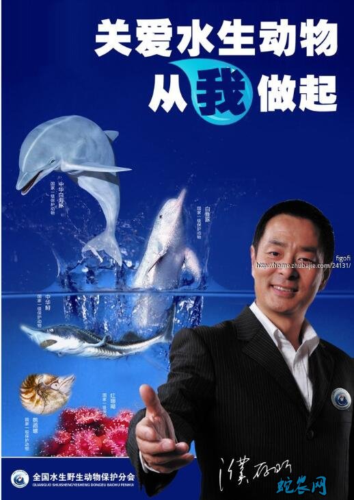 水生野生动物基准价值标准目录