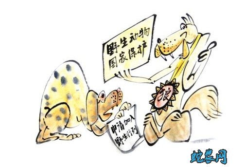 关于禁止非法野生动物交易的决定草案提请全国人大常委会审议