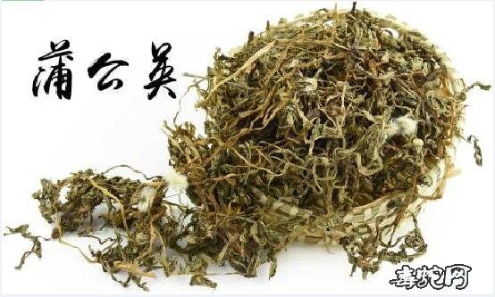 被短尾蝮蛇咬伤后应该怎样消肿?